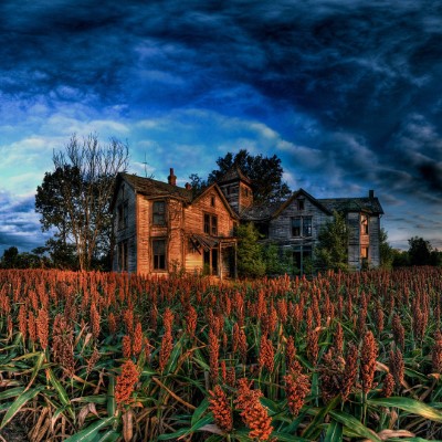 1920 x 1080 HD Wallpapers 2356